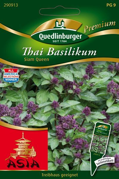Thai-Basilikum Siam Queen