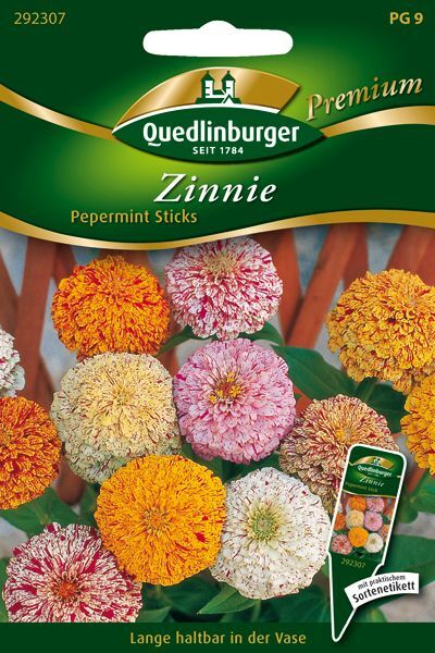 Zinnie Pepermint Sticks