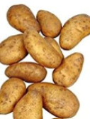 Pflanzkartoffeln Lilly 5 kg, gelb, früh-mittel, mehlig
