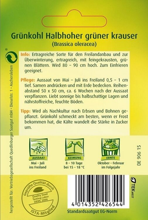 Grünkohl Halbhoher grüner krauser