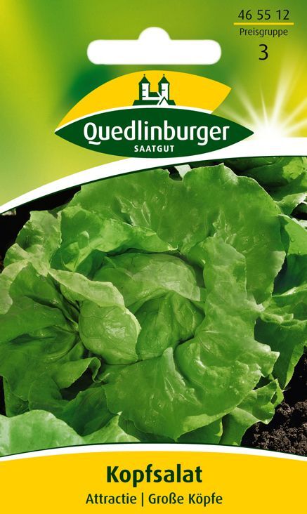 Kopfsalat Attractie