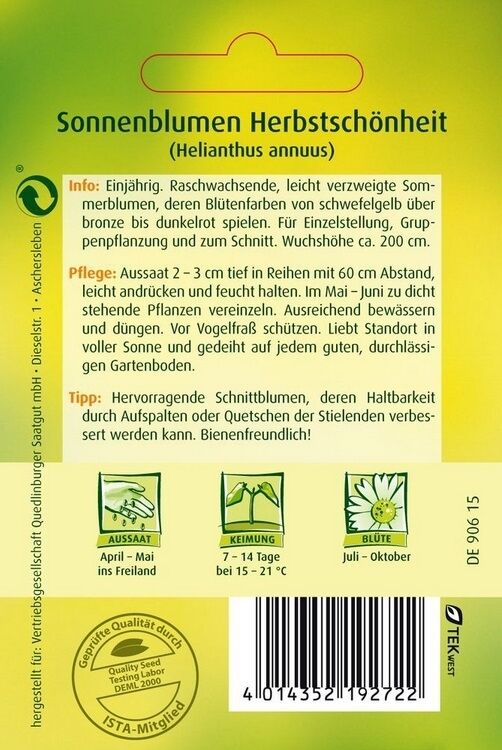 Sonnenblumen Herbstschönheit