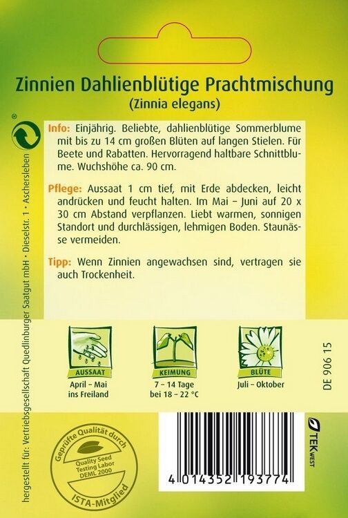 Zinnie Dahlienblütige Prachtmischung
