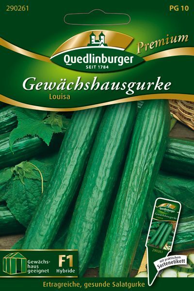 Gewächshausgurke Louisa