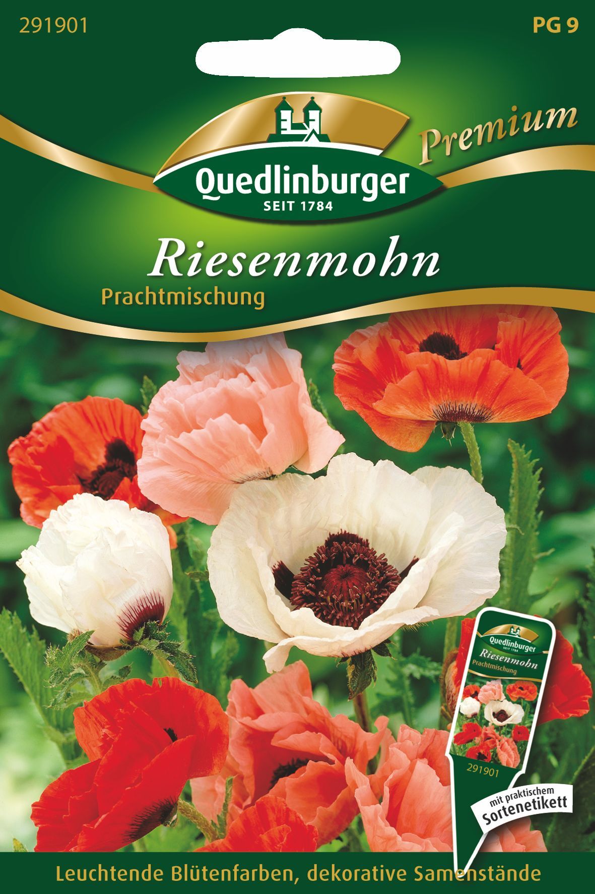 Riesenmohn Prachtmischung
