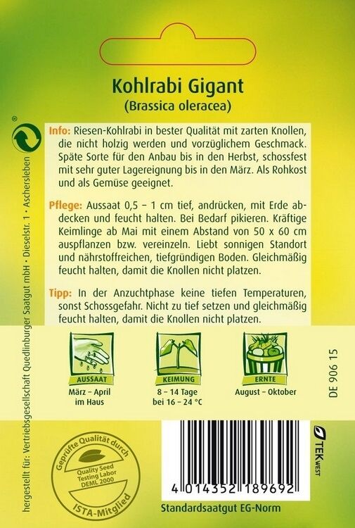 Kohlrabi Gigant