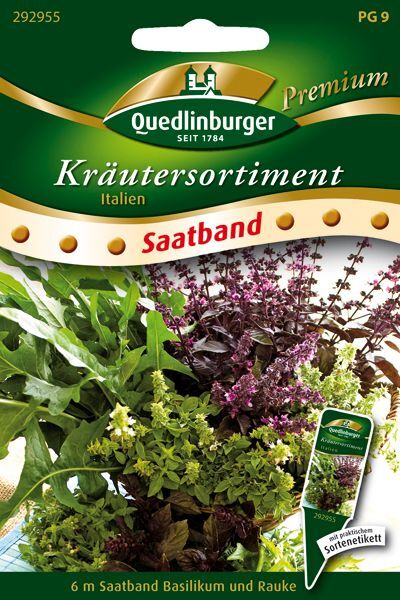 SB Kräutersortiment Italien Basilikum, Rauke