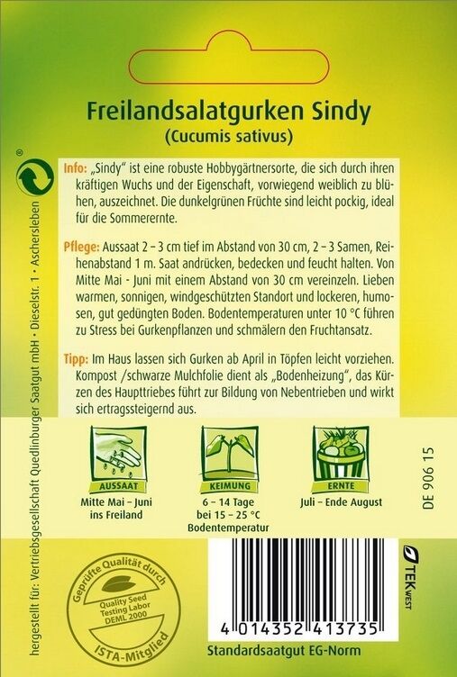 Freilandsalatgurken Sindy