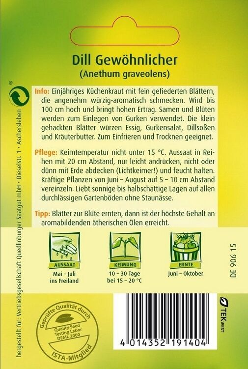 Dill Gewöhnlicher