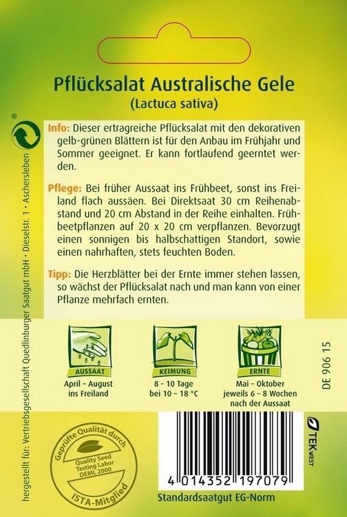 Pflücksalat Australische Gele