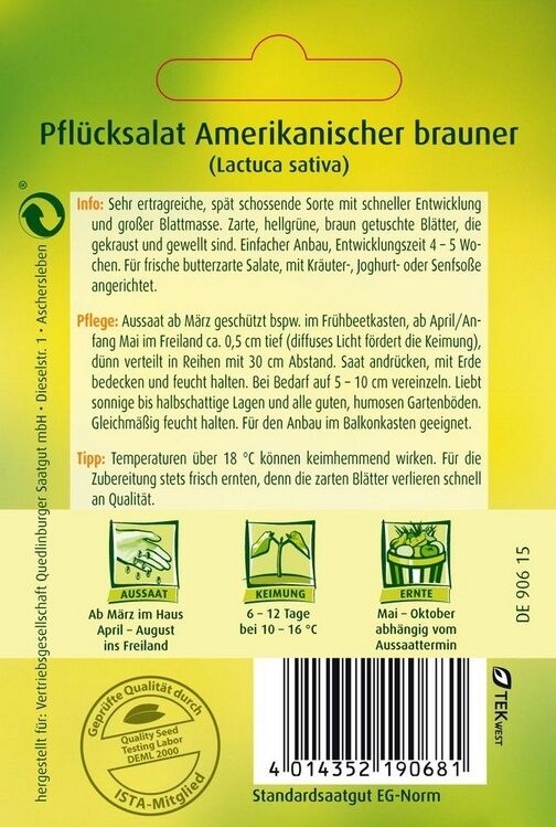 Pflücksalat Amerikanischer brauner