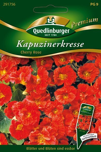 Kapuzinerkresse Cherry Rose