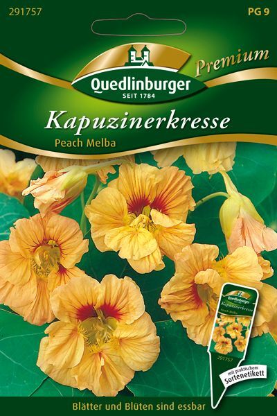Kapuzinerkresse Peach Melba