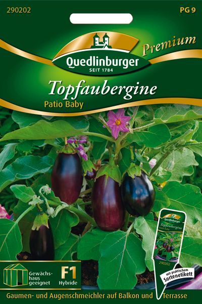 Topfaubergine Patio Baby