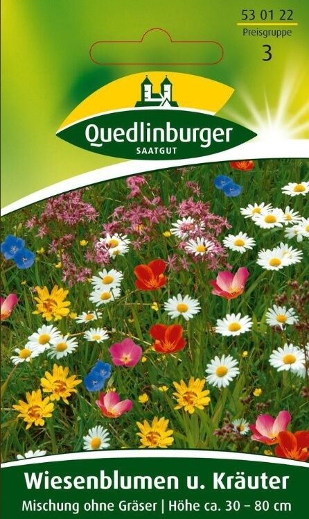 Wiesenblumen u. Kräuter Mischung ohne Gräser