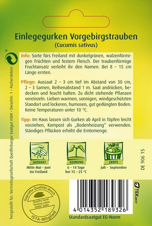 Einlegegurken Vorgebirgstrauben
