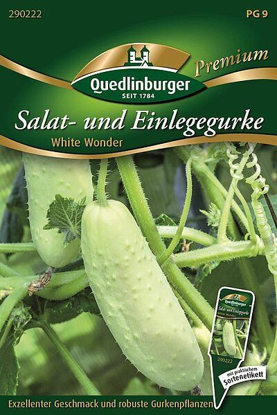 Salat- und Einlegegurke White Wonder