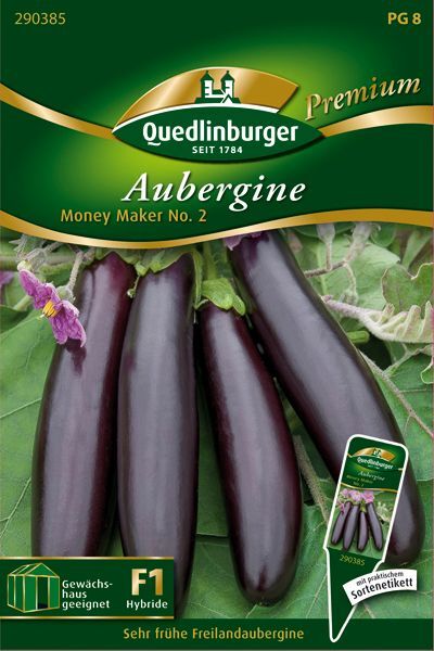 Auberginen Money Maker No. 2