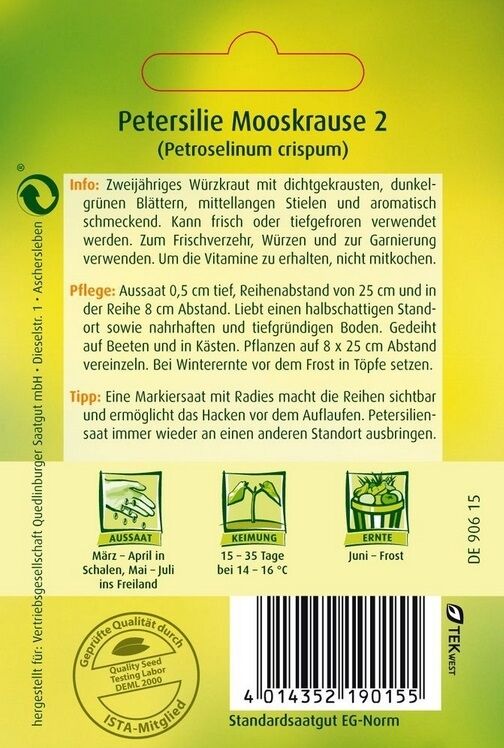Petersilie Mooskrause 2