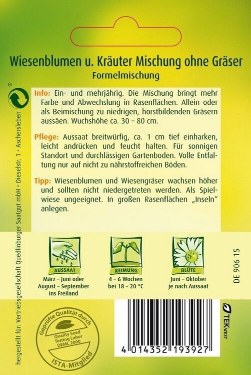 Wiesenblumen u. Kräuter Mischung ohne Gräser