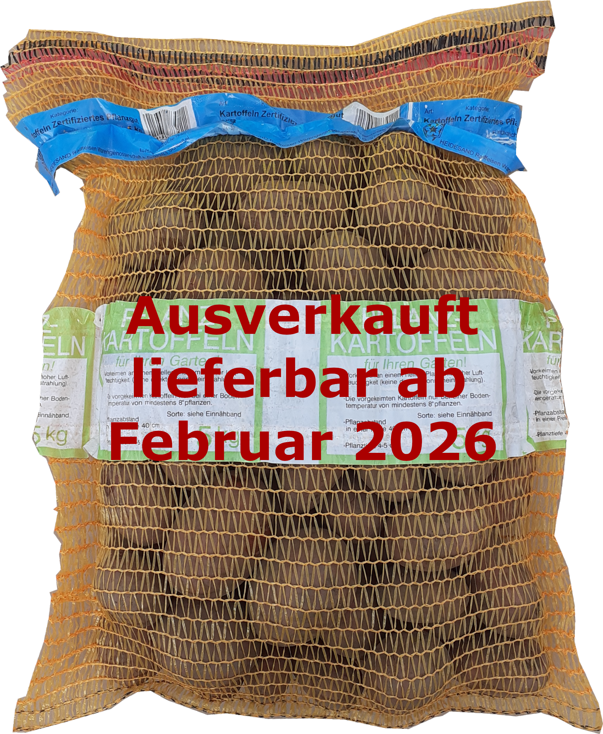 Pflanzkartoffeln Adretta 5 kg, gelb, früh-mittel, mehlig