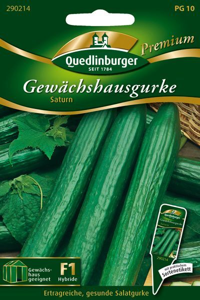 Gewächshausgurke Saturn