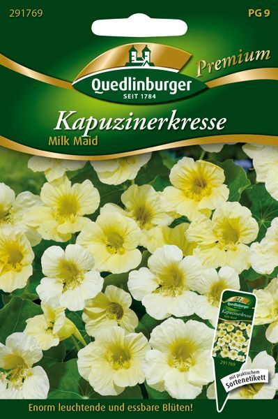 Kapuzinerkresse Milk Maid