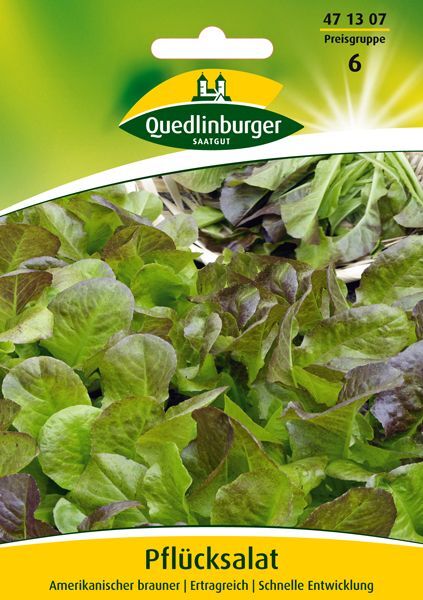 Pflücksalat Amerikanischer brauner GP 50g