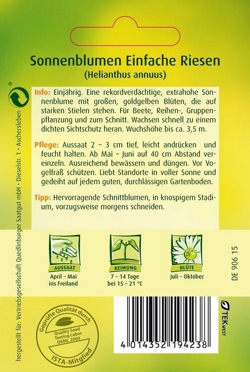 Sonnenblumen Einfache Riesen