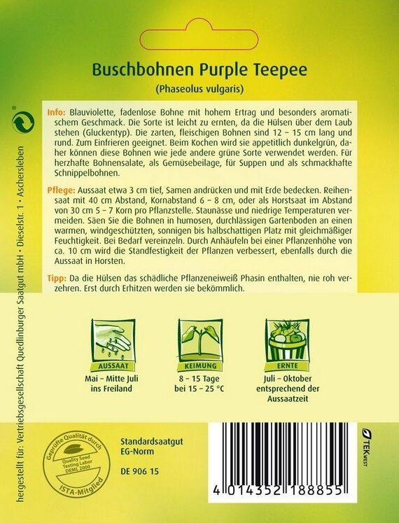 Buschbohnen Purple Teepee