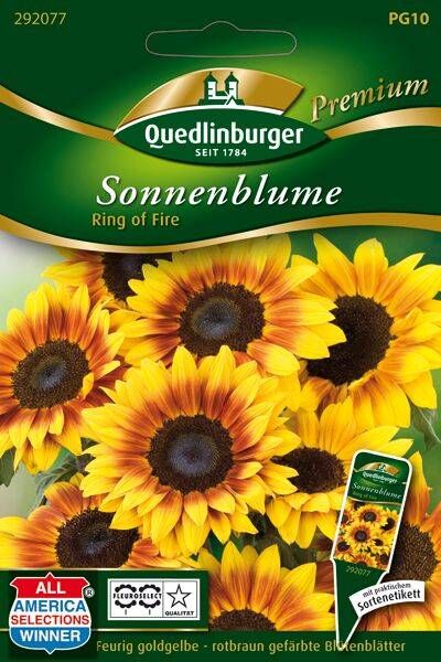 Sonnenblume Ring of Fire