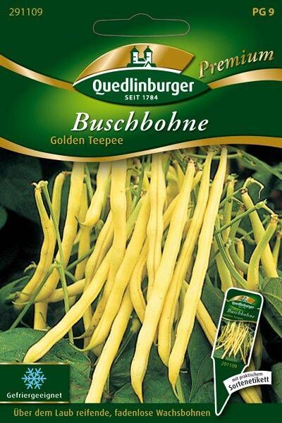 Buschbohne Golden Teepee